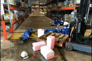 Training OSHNET (42)